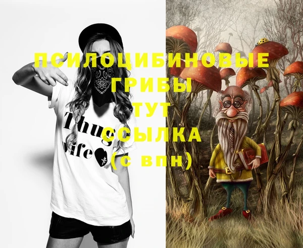 мефедрон мука Новодвинск