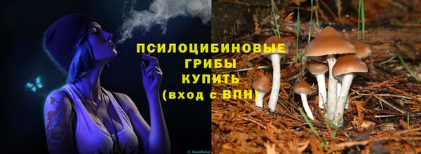 2c-b Новокубанск